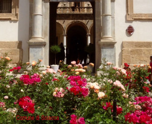 palazzo municipale di sciacca con rose