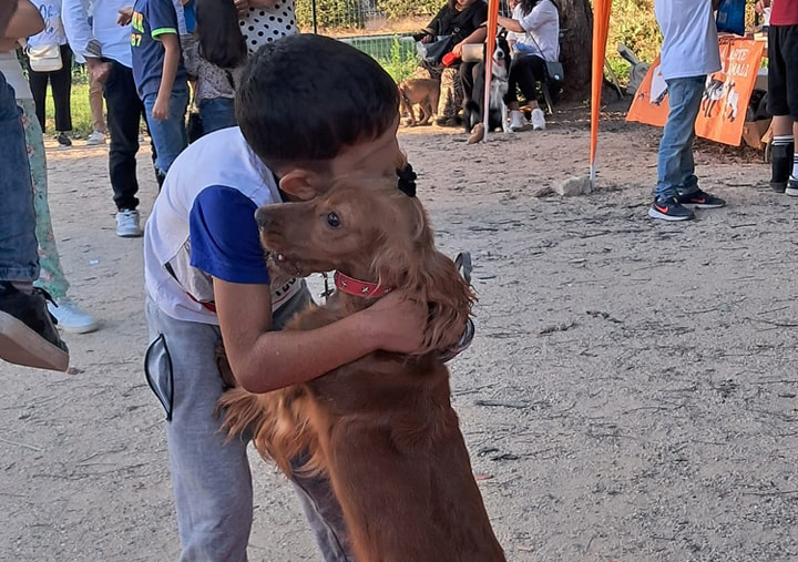 OASI DOG, GIORNATA DI SENSIBILIZZAZIONE PER L’ADOZIONE DEI CANI NEI CANILI
