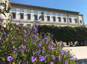 Registro comunale Enti accreditati per servizi ad alunni disabili – AVVISO