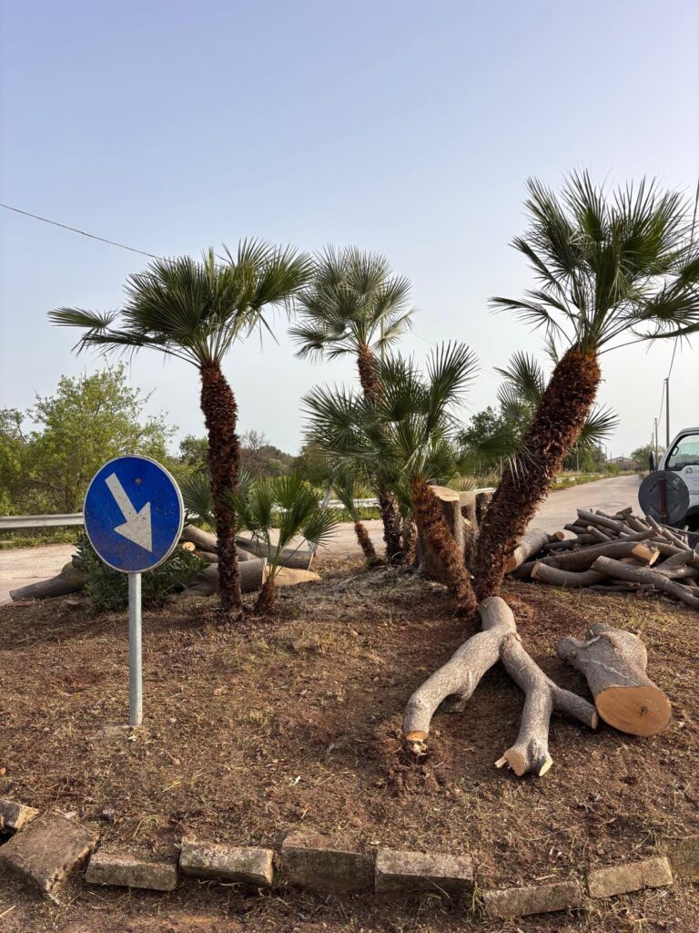 Riqualificazione rotatorie stradali, si parte da Sovareto