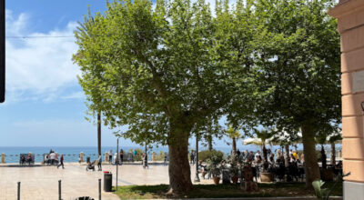 Nuovo Regolamento Dehors