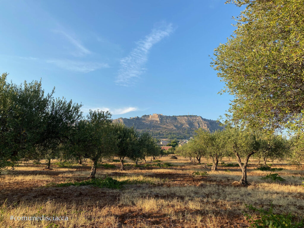 Acqua e agricoltura, sindaci e assessori del territorio all’ARS in Commissione Attività Produttive