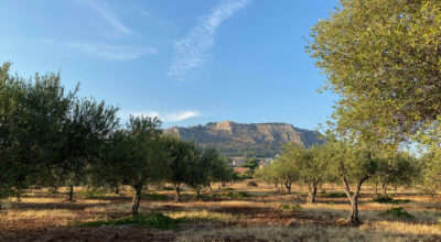 Acqua e agricoltura, sindaci e assessori del territorio all’ARS in Commissione Attività Produttive